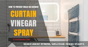 Prevent Mold on Shower Curtains with Vinegar Spray Tips