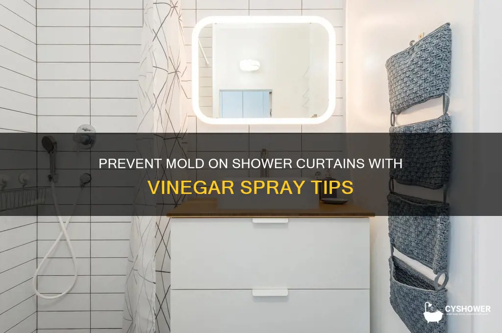 how to prevent mold on shower curtain vinegar spray