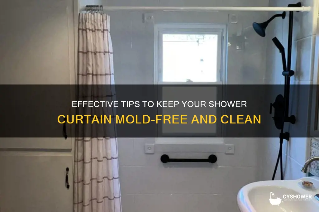 how to prevent mold on shower curtain