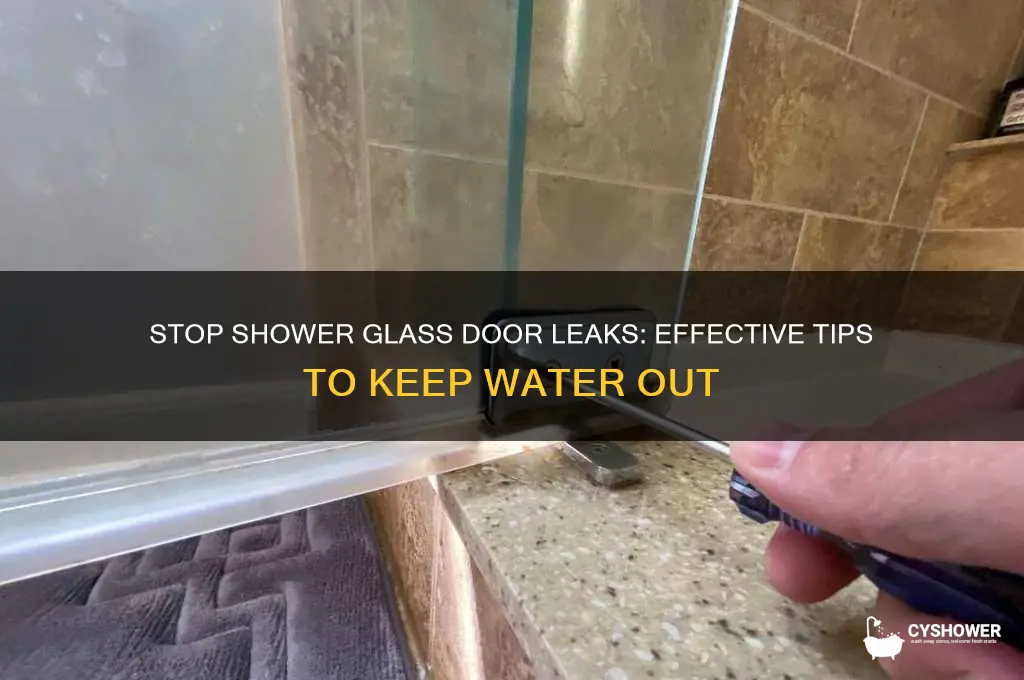 how to prevent water coming under shower glass door