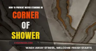 Prevent Shower Corner Water Buildup: Simple Fixes for a Dry Bath