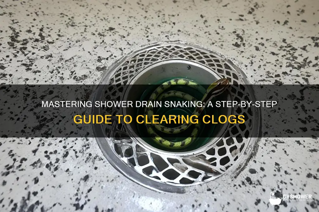how to properly snake a shower drain