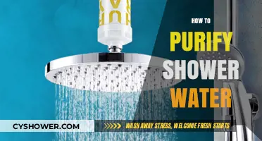 Effective Ways to Purify Your Shower Water for Healthier Skin