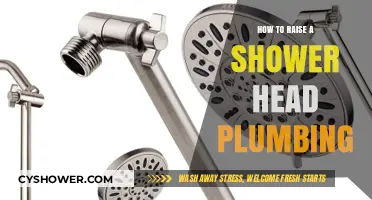 Easy Steps to Raise Your Shower Head: Plumbing Guide