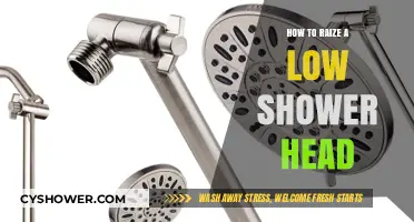 Easy DIY Solutions to Elevate Your Low Shower Head Height