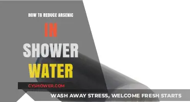 Effective Ways to Minimize Arsenic Exposure in Your Shower Water