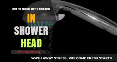 Easy Fixes to Lower Your Shower Head's Water Pressure