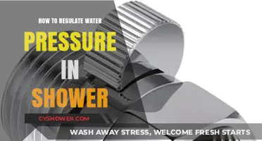 Mastering Your Shower Experience: Regulating Water Pressure Like a Pro