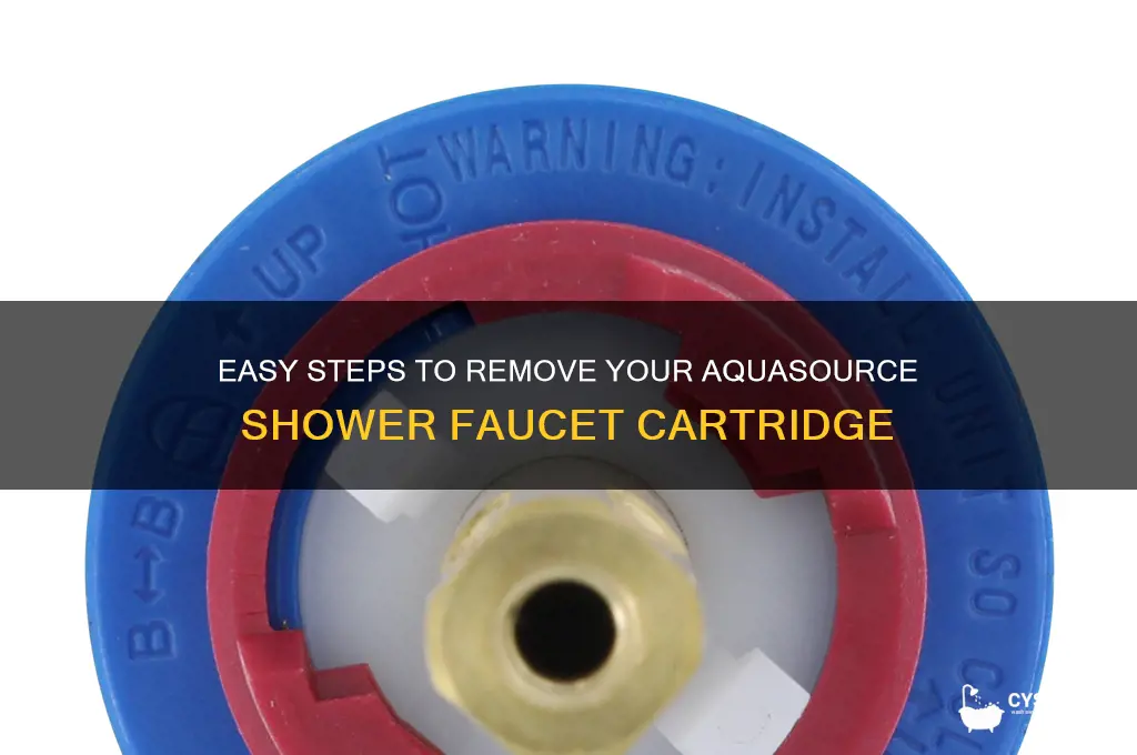 how to removal aquasource shower faucet cartridge