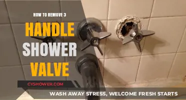 Step-by-Step Guide to Removing a 3-Handle Shower Valve Easily
