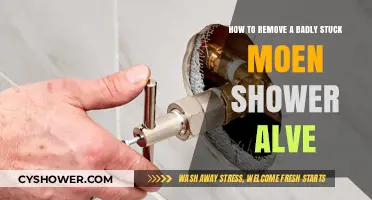 Effective Techniques to Remove a Stubbornly Stuck Moen Shower Valve