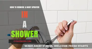 Easy Steps to Remove a Shower Body Sprayer Yourself