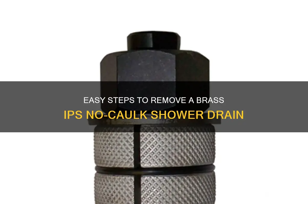how to remove a brass ips no-caulk shower drain