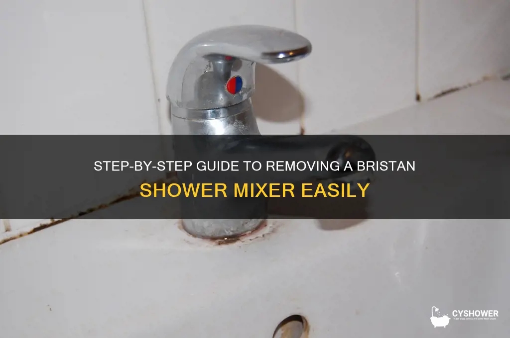 how to remove a bristan shower mixer