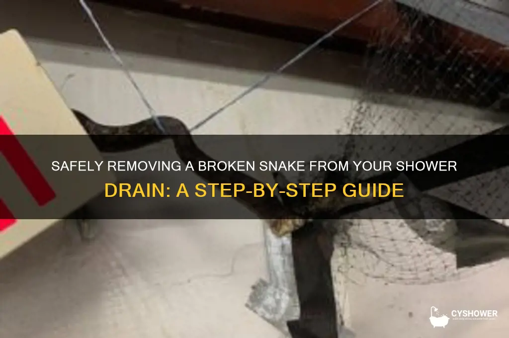 how to remove a broken snake from a shower drain