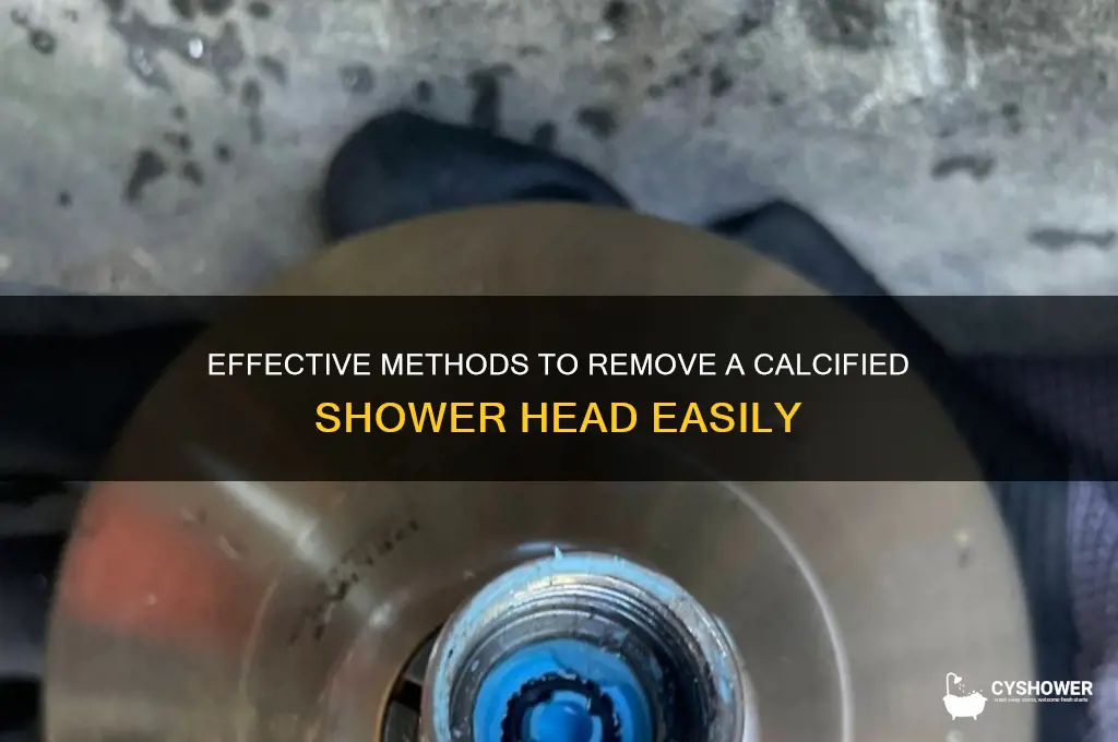 how to remove a calcified shower head