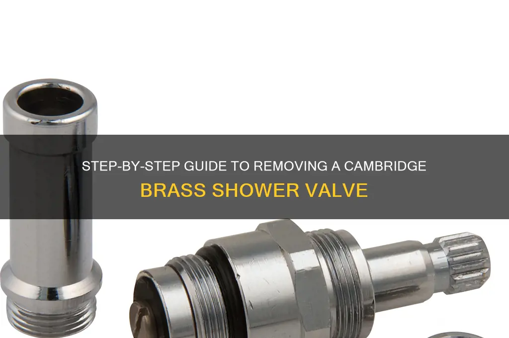 how to remove a cambridge brass shower valve