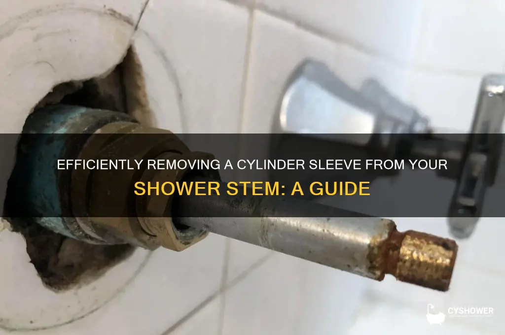 how to remove a cylinder sleeve from a shower stem