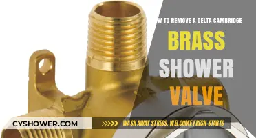 Step-by-Step Guide to Removing a Delta Cambridge Brass Shower Valve