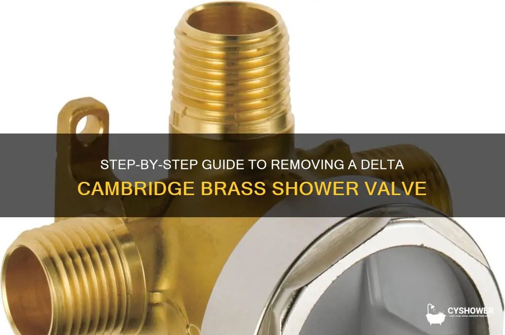 how to remove a delta cambridge brass shower valve