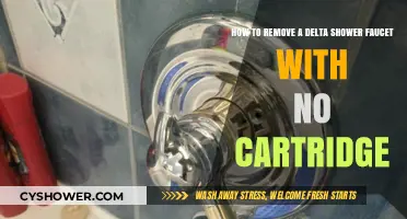 Easy Steps to Remove Delta Shower Faucet Without Cartridge