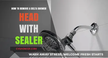 Easy Steps to Remove Delta Shower Head with Sealer