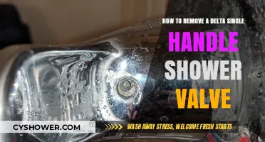 Easy Steps to Remove a Delta Single Handle Shower Valve