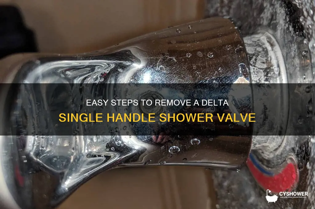 how to remove a delta single handle shower valve