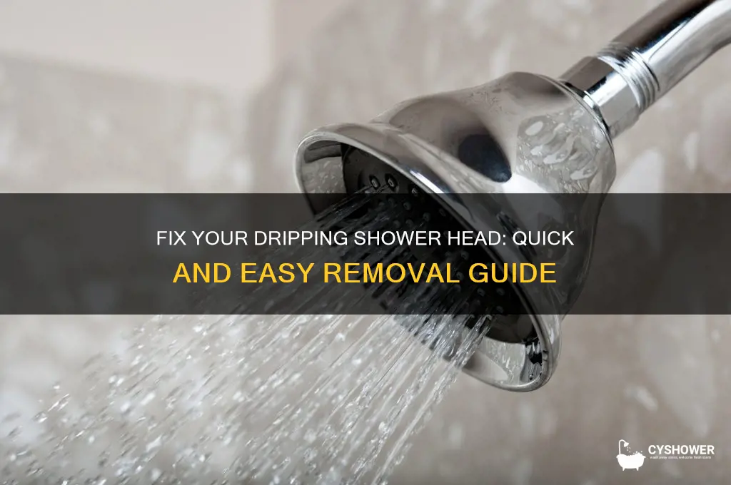 how to remove a dripping shower head