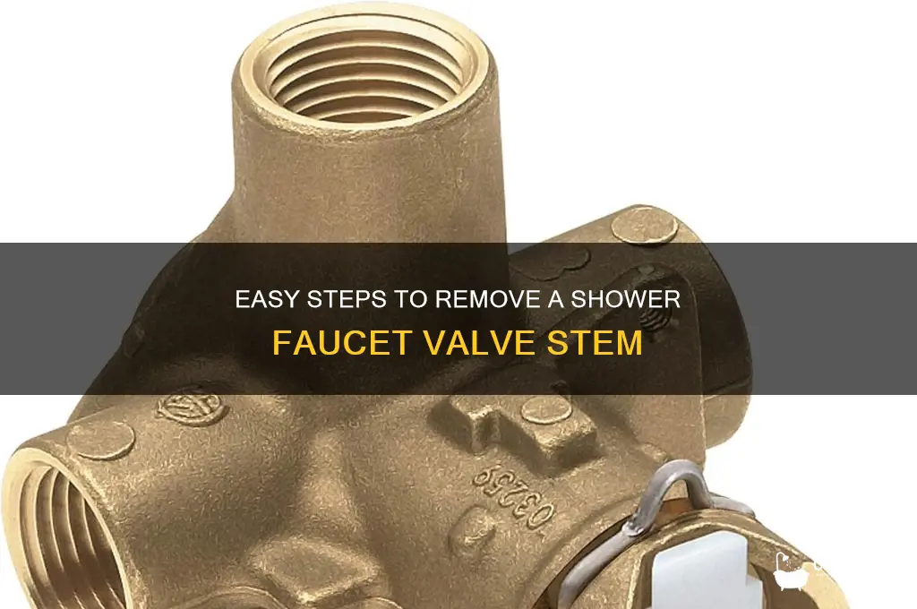 how to remove a faucet valve stem in shower