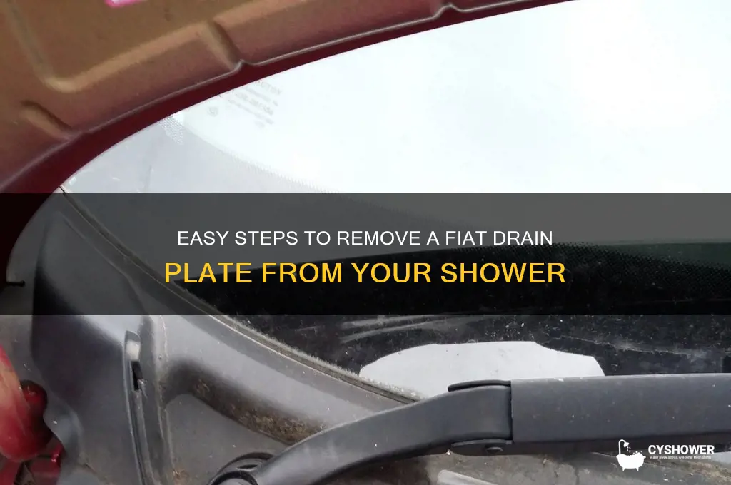 how to remove a fiat drain plate from shower