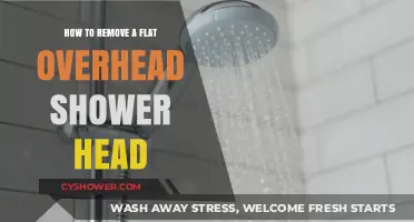 Easy Steps to Remove Your Flat Overhead Shower Head Quickly
