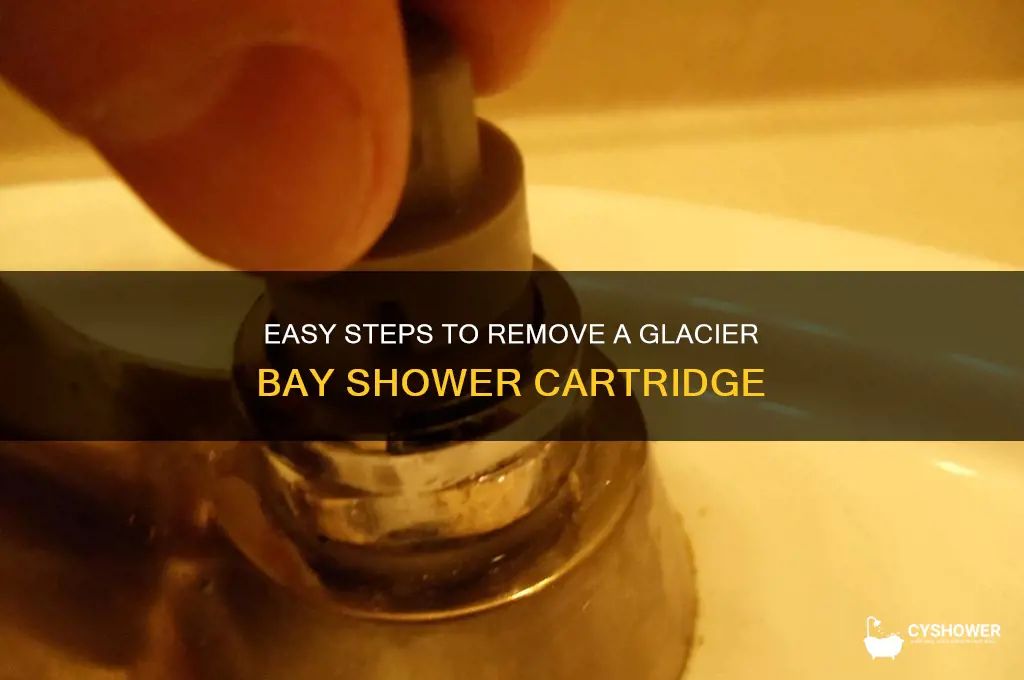 how to remove a glacier bay shower cartridge