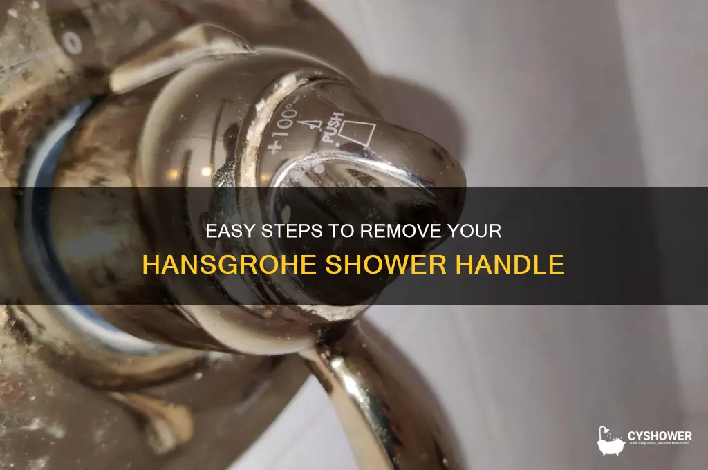 how to remove a hansgrohe shower handle