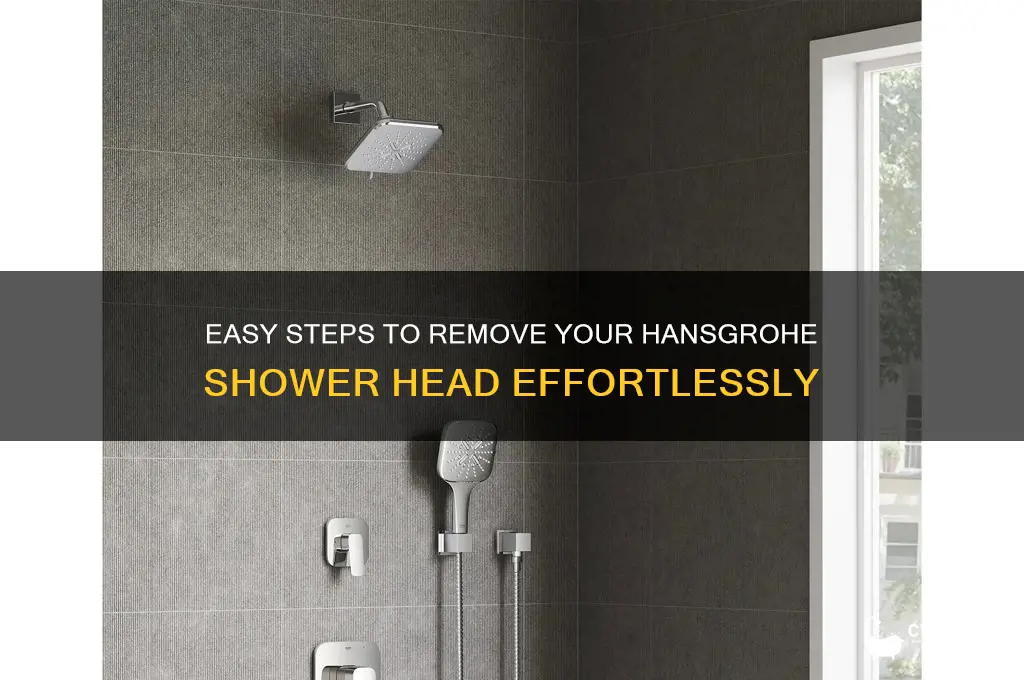 how to remove a hansgrohe shower head