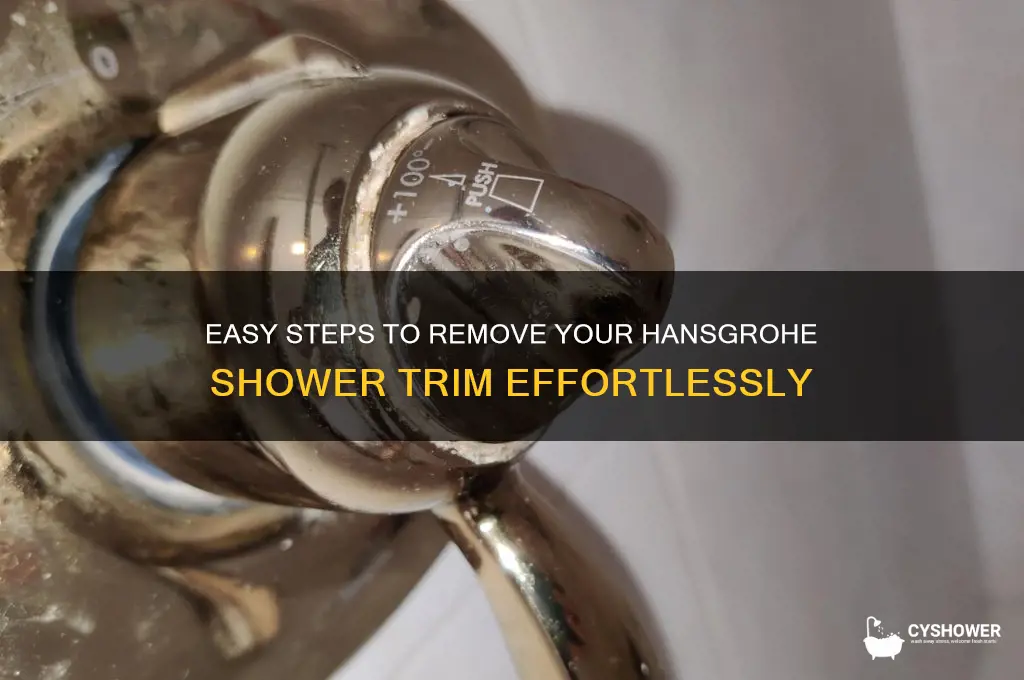 how to remove a hansgrohe shower trim