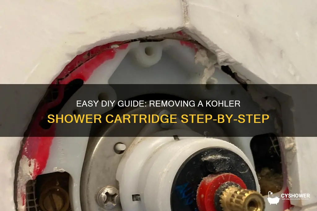 how to remove a kohler shower cartridge