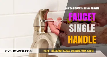 Fixing a Leaky Shower Faucet: Single-Handle Repair Guide
