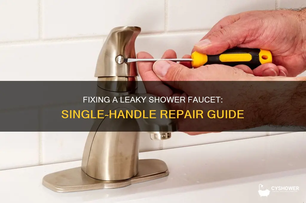 how to remove a leaky shower faucet single handle