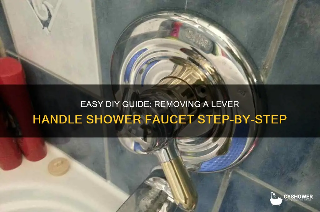 how to remove a lever handle shower faucet