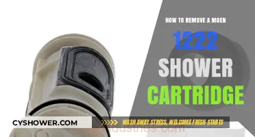 Easy Guide to Removing a Moen 1222 Shower Cartridge