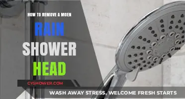 Easy Steps to Remove Your Moen Rain Shower Head Quickly