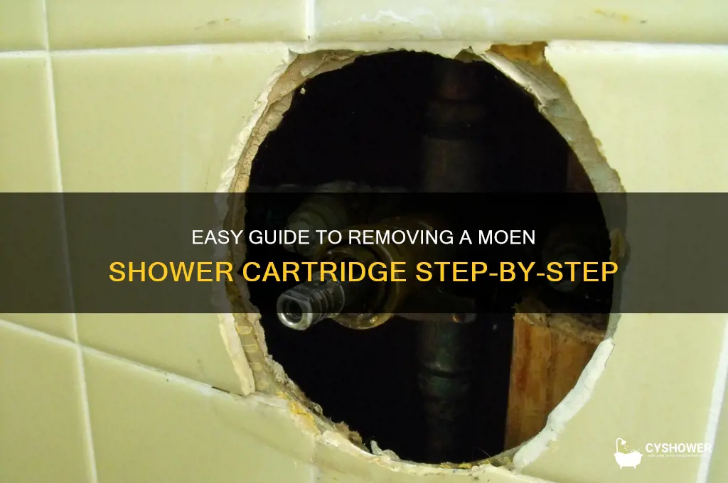how to remove a moen shower cartridge