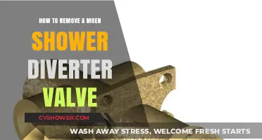 Step-by-Step Guide: Removing a Moen Shower Diverter Valve Easily