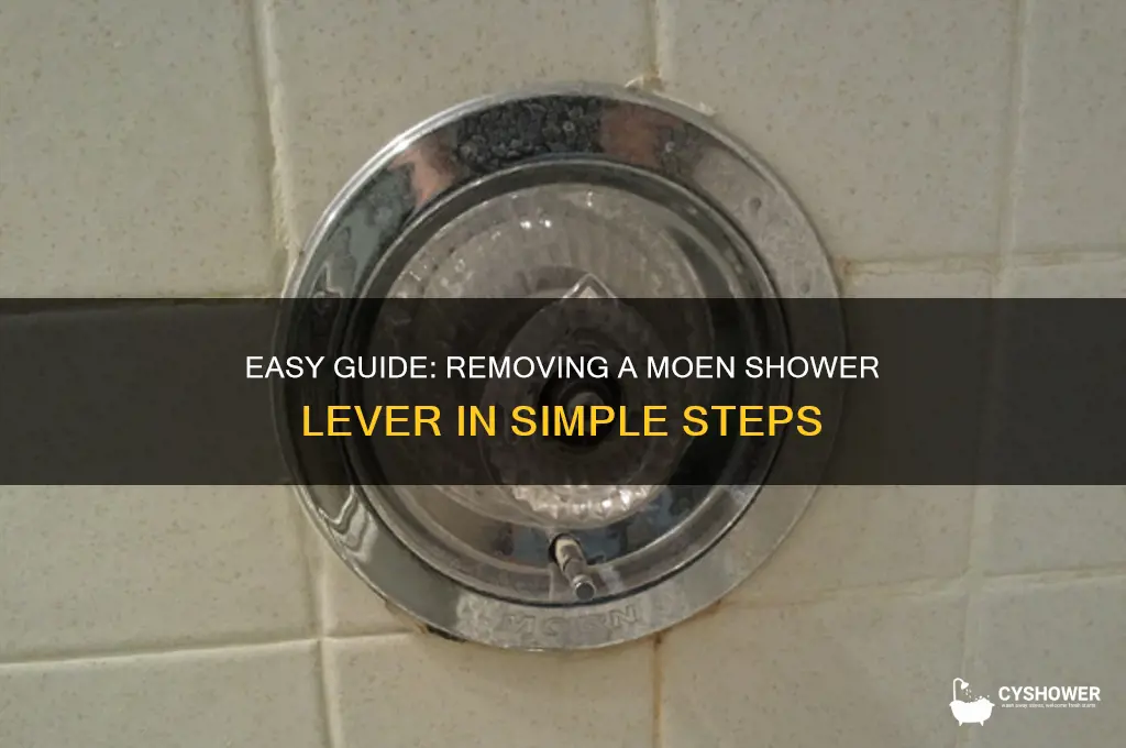 how to remove a moen shower lever