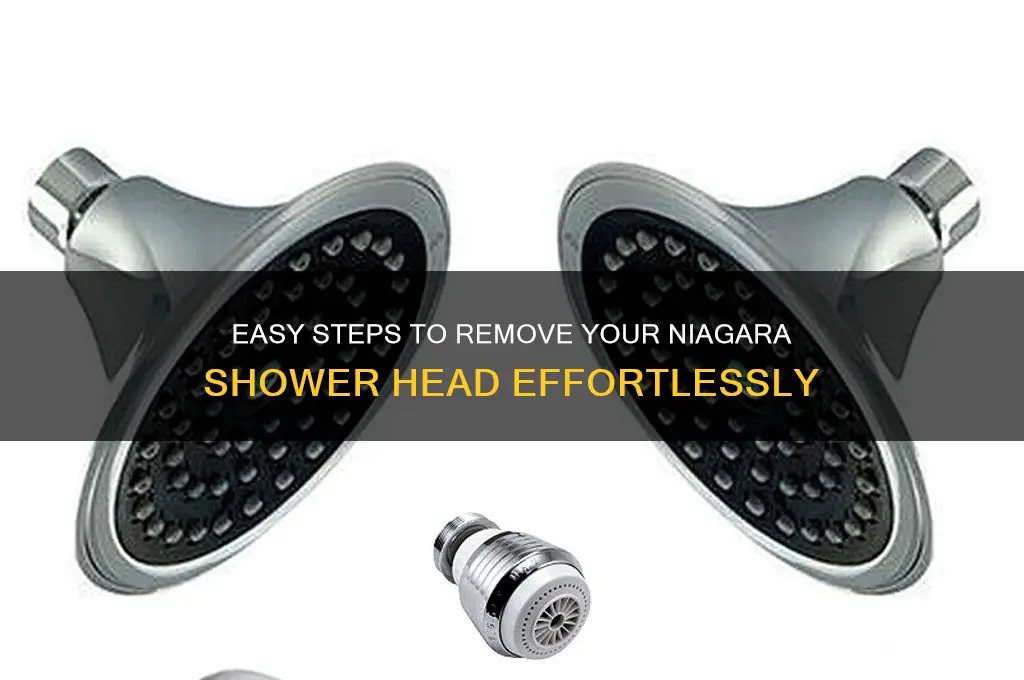 how to remove a niagara shower head