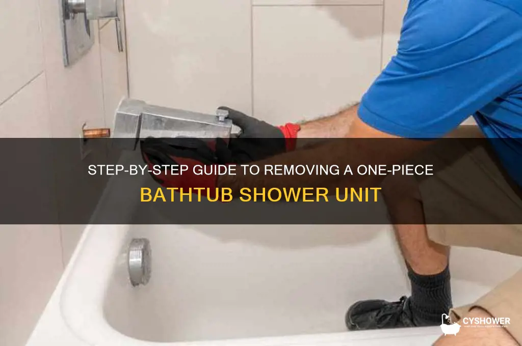 how to remove a one piece bathtub shower