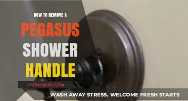 Easy Steps to Remove a Pegasus Shower Handle: DIY Guide