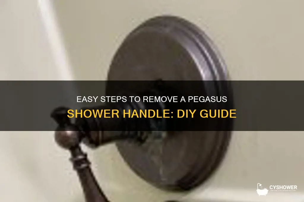 how to remove a pegasus shower handle
