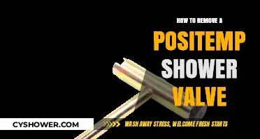 Step-by-Step Guide to Removing a PosiTemp Shower Valve Easily